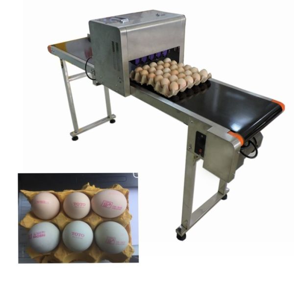 Easy Operation Egg Industrial Ink Jet Printer , High Speed Inkjet Printer