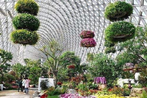 Alloy 1100 0.55mm Prepainted Aluminium Coil for Greenhouse Plant Training Clips