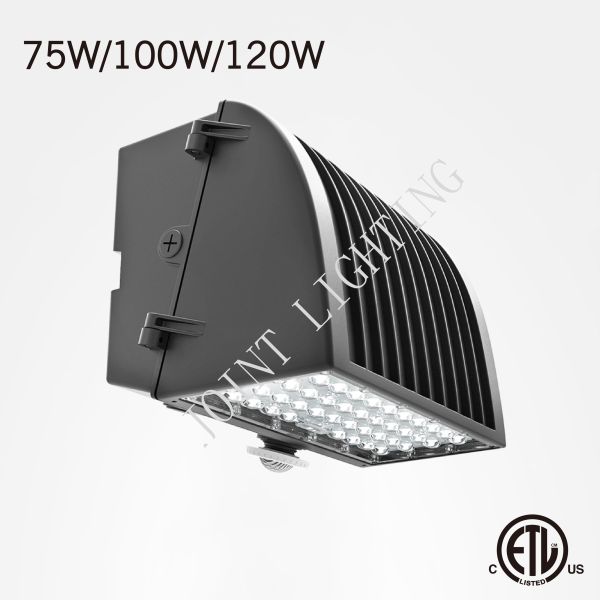 Buy Waterproof 2700K 25W IP65 Semi Cutoff Wall Pack at wholesale prices