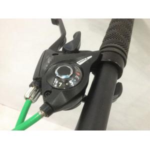 OEM 21 Speed 20 Inch Fat Tire Electric Bike