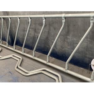 Anti Rust Cattle Diagonal Feed Barriers , Galvanized Steel Cow Feed Barrierse