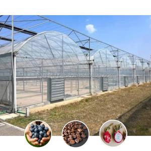 Durable Steel Tructure Vegetable Growing Poly Tunnel Agricultural Greenhouse