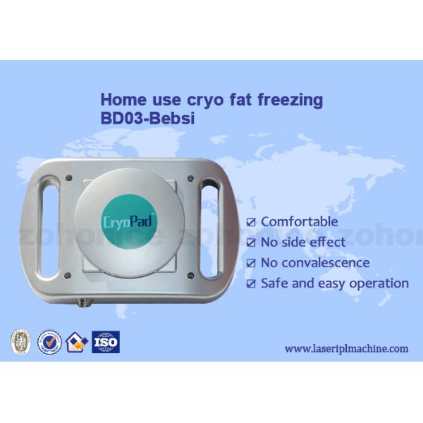 Buy Home use mini Cryo antifreeze pad cryolipolysis body slimming machine at wholesale prices