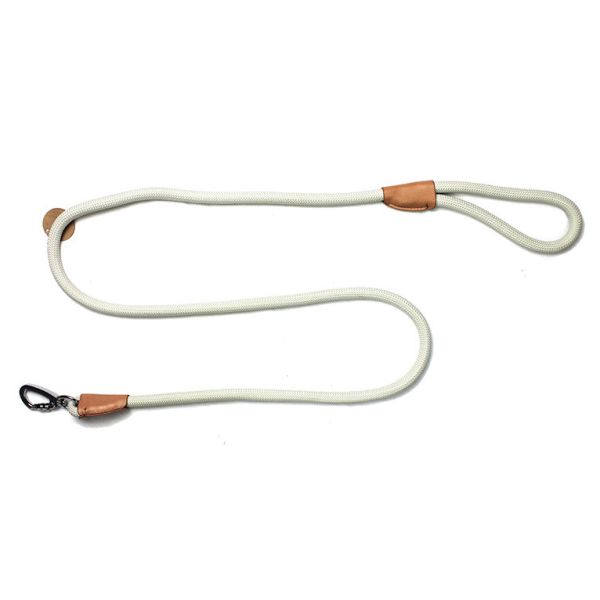 walking your cat on a leash