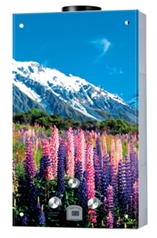 Buy cheap Gas Water Heater from wholesalers