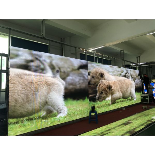 Activity 1R1G1B Stage Rental Led Screen Events P4 P4.81 500x1000mm