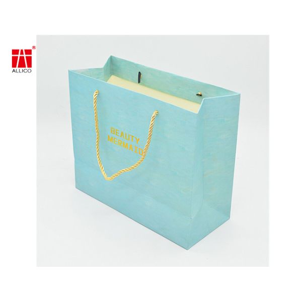 Custom Design Ribbon Handle Blue Jewelry Cosmetic Gift Clothing Shopping Packaging Bag