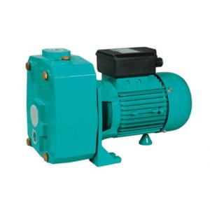 China DP Series Suction Up To 50M Deep Well Electric Water Pumps For Underground Pumping on sale