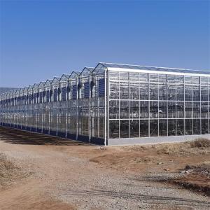 Polycarbonate Hollow Board Glass Industrial Outdoor Multispan Glass Professional