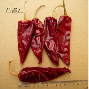 Sweet Taste Hot Dried Jinta Chilli Pepper Strong Flavor