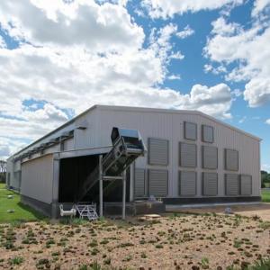 Customized Color Steel Structure Shed Construction Graphic Design For Poultry