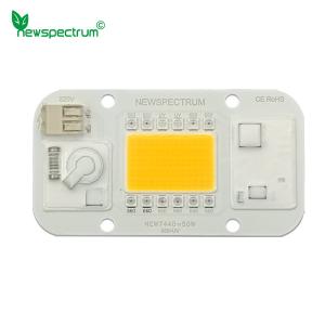 50HZ COB Led Chip