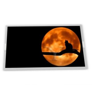 Quality 6.2 Inch A-Si TFT-LCD Display Panel TX16D14VM2CPA LCM 640*240 LCD Screen Modules for sale