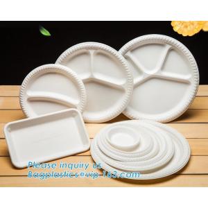 Biodegradable Disposable Sugarcane Bagasse Party Plate,Eco-friendly sugarcane