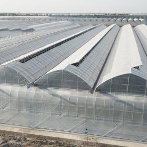 Automatical Controlling System Galvanized Steel Frame Film Greenhouse for