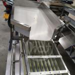 Lemon Mango Sorting Machine , Automatic Processing Fruit Grading Machine