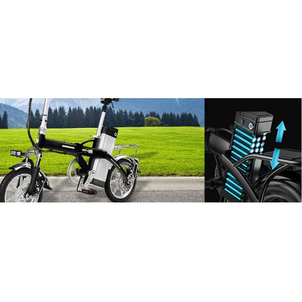 Customized 18650 Ebike Battery Sliver Fish 48V Electric Bicycle Battery