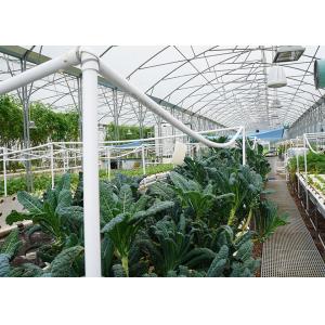 Quality Space Saving DWC Hydroponics System Oxygen Rich For Small Space Vegetable Gardening for sale