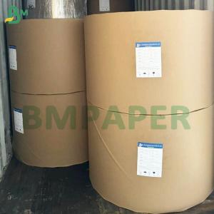135-350 GSM Double Size PE Coated Waterproof Paper for Cup and Bowl