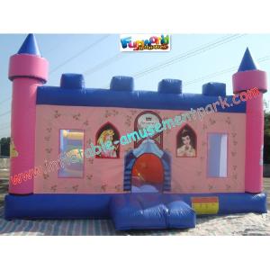 Customized Princess Giant Inflatable Amusement Park Games / Inflatable Funcity