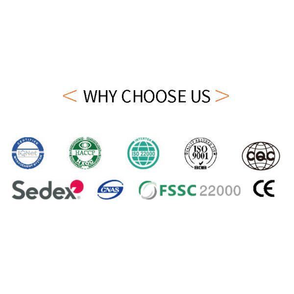 5kg / Hour Wafer Cone Production Line Ice Cream Biscuit Cone Machine