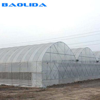 Buy Hot Dip Galvanized Steel Wind Resistance Sides Ventilation Multi Span Greenhouse at wholesale prices