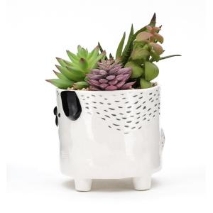 3d Animal Instagram Ceramic Mini Succulent Plant Flower Pots Customized