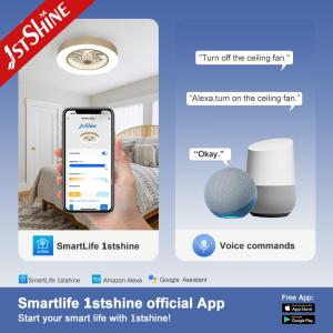 Hidden Removable Blades LED Ceiling Fan with Metal Material and Remote Control