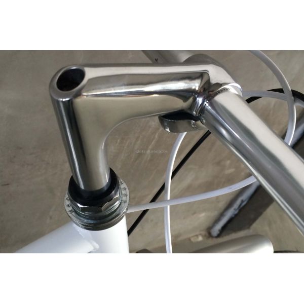 Vintage CR-MO Steel 4130 Lady Women Girl Inner 3 Speeds City Bike for Europe Market