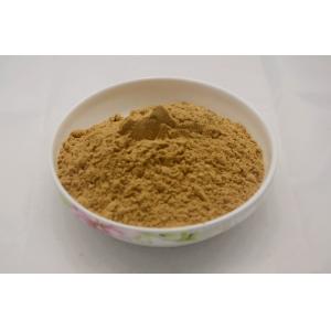 Quality Antrodia cinnamomea Extract/Antrodia cinnamomea polysaccharide for sale