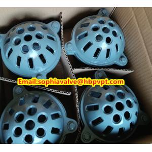 EPDM resilient seal cast iron PN10 foot valve