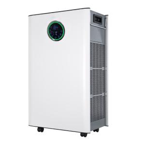 Electric 110W Bathroom Asthma Anion Hepa Air Purifier App Controlled