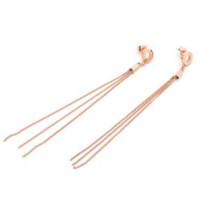 Rose Gold Stainless Steel Tassel Earrings Girs Fashion Jewelle Earring For Gifts