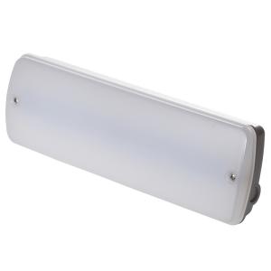 IP65 Bulkhead Plastic Waterproof Emergency Light 3 Hours Operation