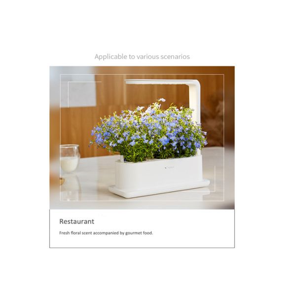 Buy PP LED Acid Resistance Home Hydroponic Growing System at wholesale prices