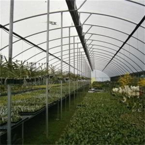 Polyethylene Tunnel 6 Mil Plastic Covering Sawtooth Top Vent Greenhouse