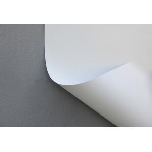 Horizontal Interior Roller Blinds Double Sided Color Coating 320-340g/m2