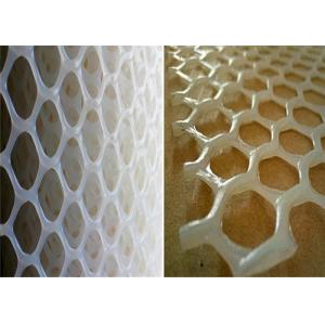 Food Grade Diamond Hole Food Industry Extruded Plastic Mesh Netting
