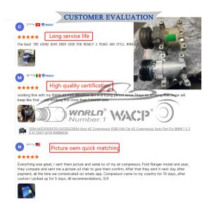 DV6119D629DC DV6119D629DA Auto AC Compressor For Ford kugaII2.0TDCI WXFD124