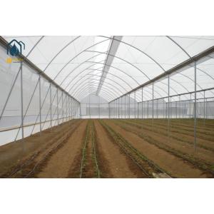 Modern Agricultural Tropical Multi Span Greenhouse Easy Setup Low Maintenance