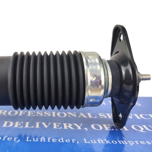 Rear Left Right Gas-Filled Shock Absorber Type 22248832 For Smooth Ride And Improved Driving Experience