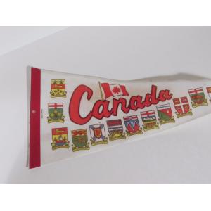 Digital printing Exhibition Decorative Pennant Banner machine washable