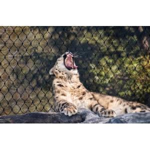 stainless steel wire rope mesh tiger fencing