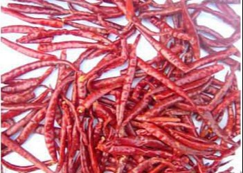 Buy Chilli Pepper Variety Chinese Dried Chili Peppers AD Drying Process at wholesale prices