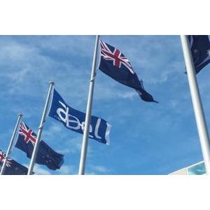 Automatic Control Stainless Steel Flagstaff Remote Distance 50M Flag Raising