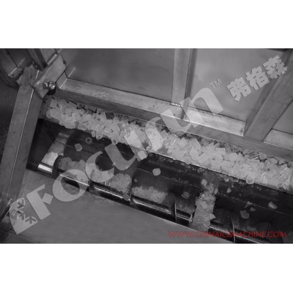 15 Ton Tube Ice Machine with Screw Ice Storage and Semi-Automatic Ice Packing Machine