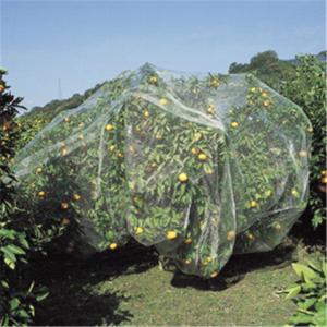 High Enacity Invisible Bird Netting , Wrap Knitted Tree Protection Netting