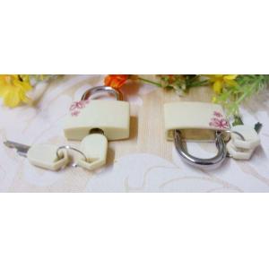 30MM Mini Plastic Lock