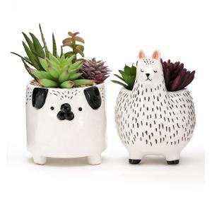Animal Flower Pots Succulent Plant Pot Customized Plant Propagation Planter