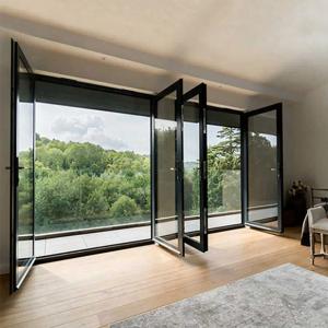 Australian Standard Aluminum French Door Minimalist Design Exterior Double